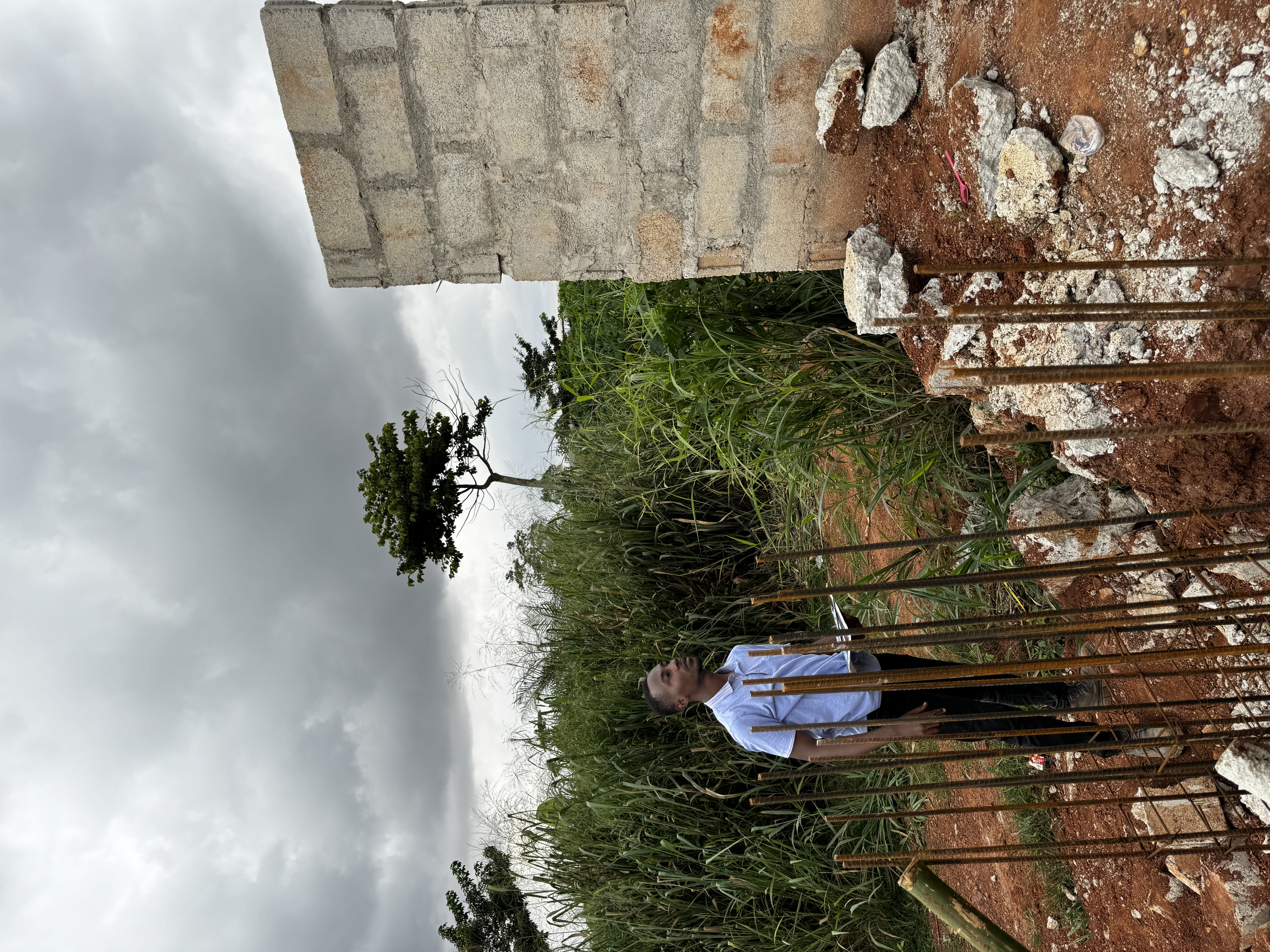 Tile layouts under inspection with moisture meters nearby